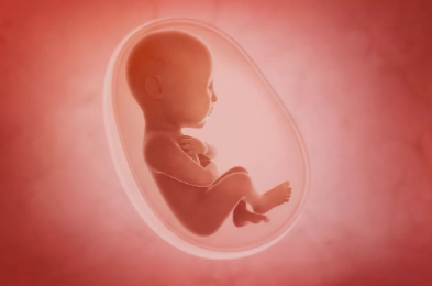 新生儿胎盘里含有哪些干细胞？