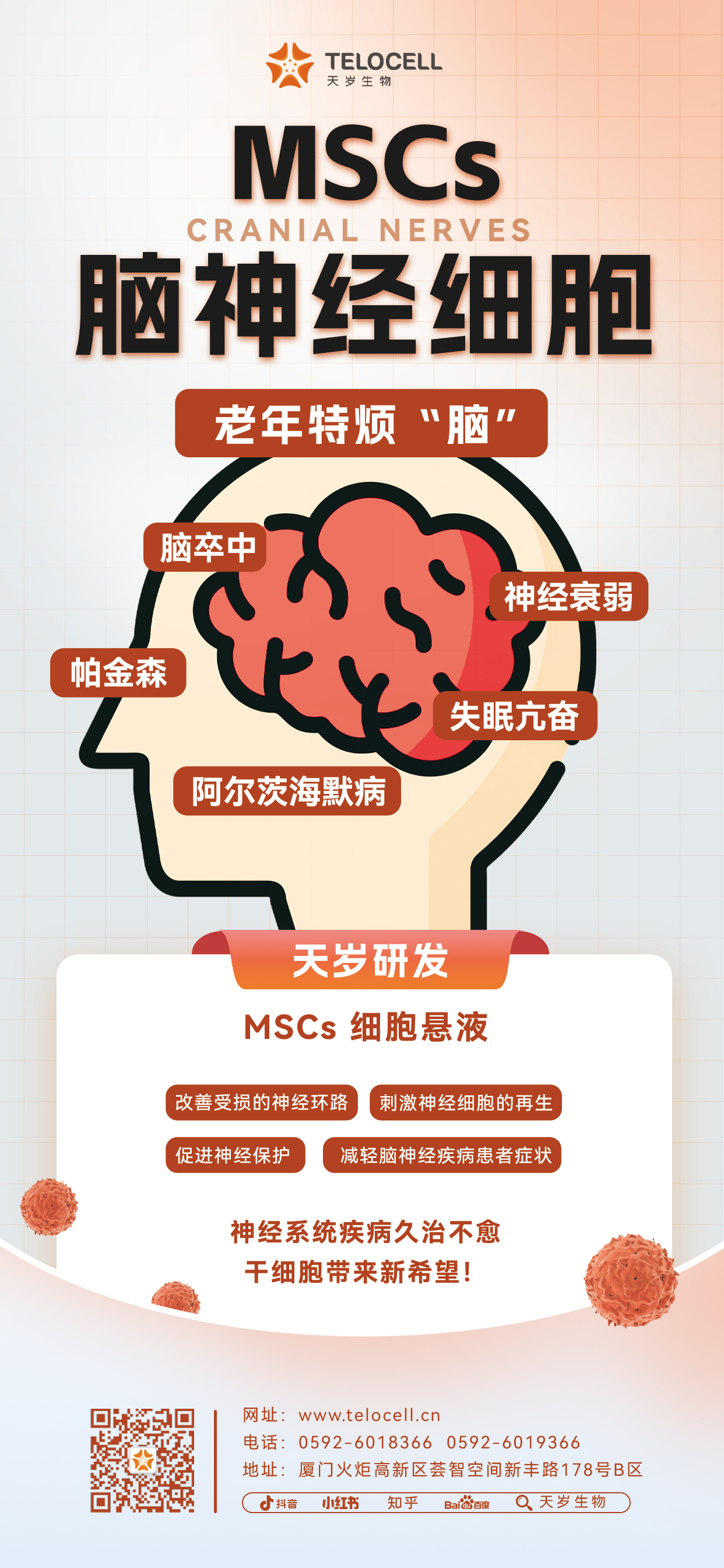 20230818 MSCs 脑神经细胞.jpg