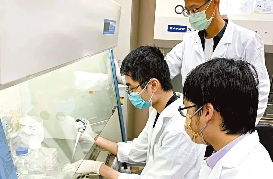 香港政府斥60亿资助成立生命健康研发院，聚焦细胞和基因治疗等前沿主题