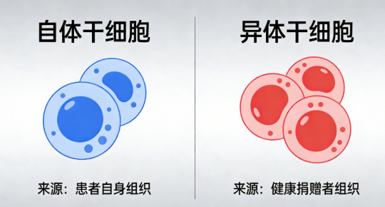 1769407587280637.png image.png