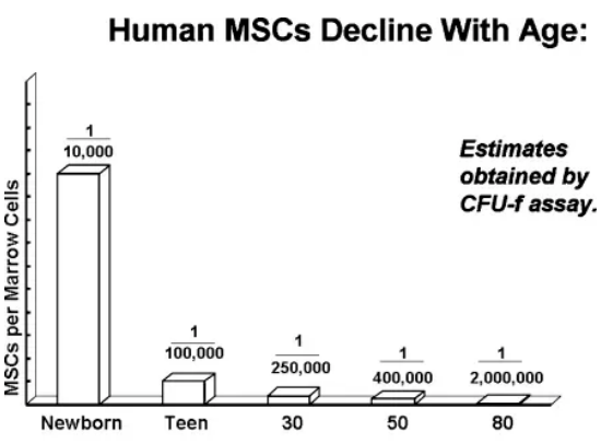 1769407603331535.png image.png