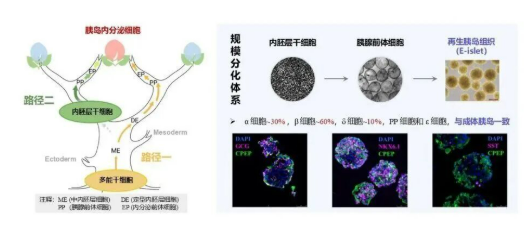 1774949338202117.png image.png