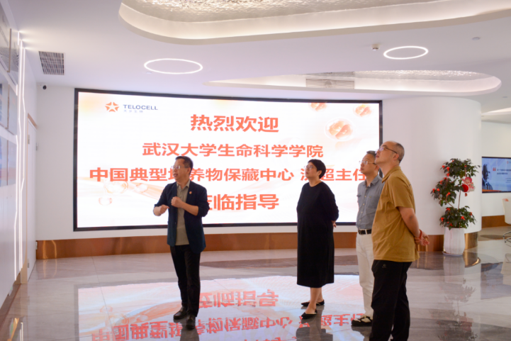 天岁新闻丨武汉大学中国典型培养物保藏中心沈超主任一行莅临天岁考察交流