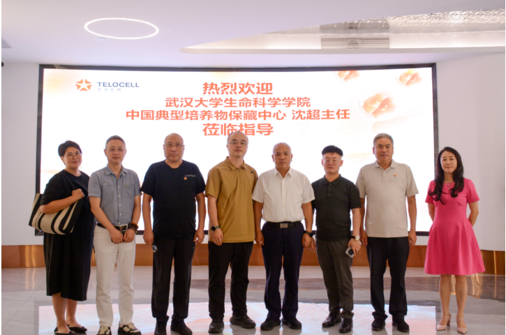 天歲新聞丨武漢大學中國典型培養物保藏中心沈超主任一行蒞臨天歲考察交流